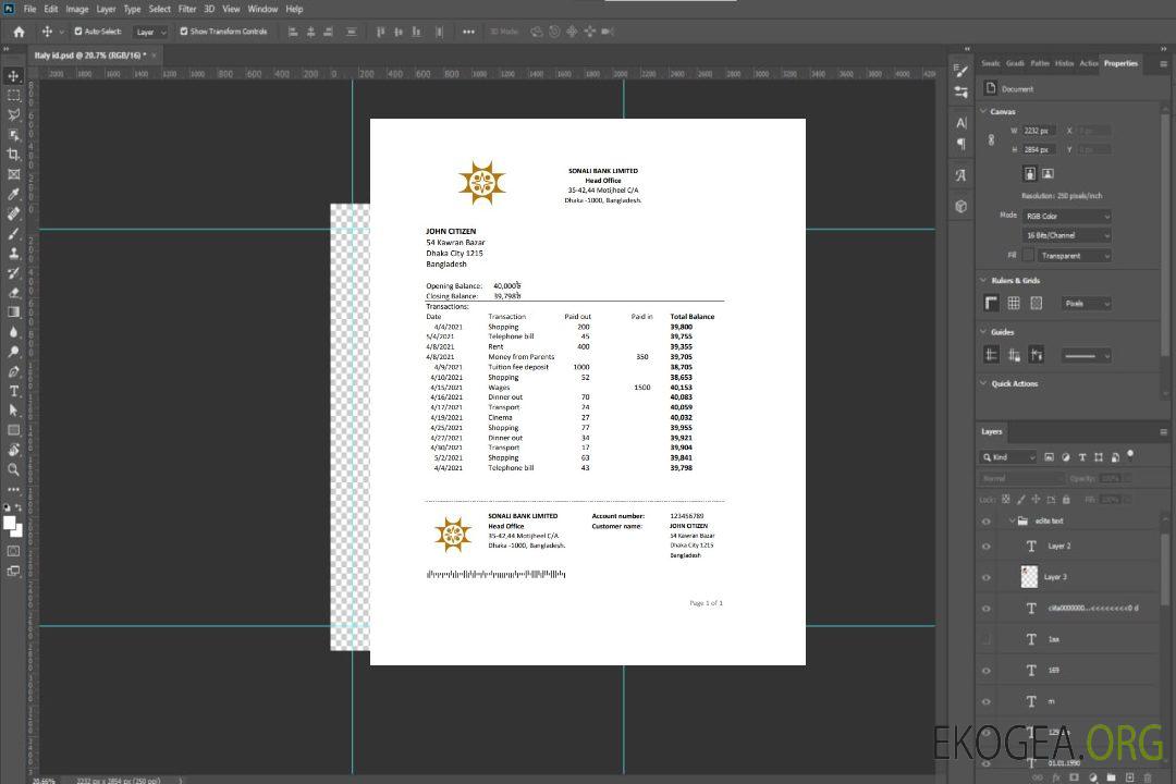 Relevé bancaire Bangladesh Sonali, modèle facile à remplir au format Excel et PDF template